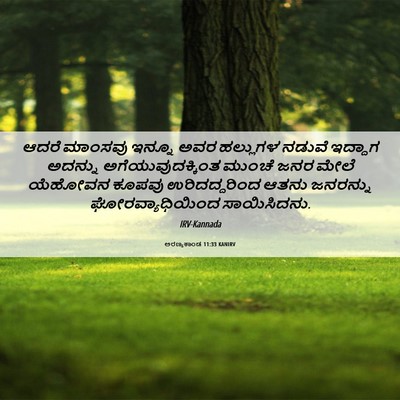 Picture 06 - ಅರಣ್ಯಕಾಂಡ 11:33 KANIRV - ಆದರೆ ಮಾಂಸವು ಇನ್ನೂ - Bible Verse Picture