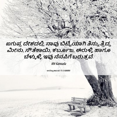 Picture 06 - ಅರಣ್ಯಕಾಂಡ 11:5 KANIRV - ಐಗುಪ್ತ ದೇಶದಲ್ಲಿ - Bible Verse Picture