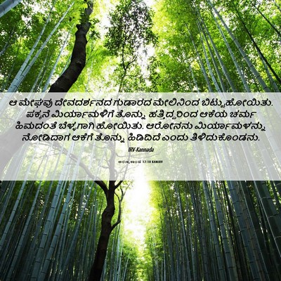 Picture 06 - ಅರಣ್ಯಕಾಂಡ 12:10 KANIRV - ಆ ಮೇಘವು ದೇವದರ್ಶನದ - Bible Verse Picture