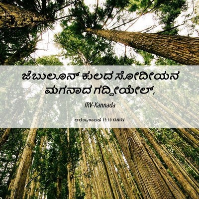 Picture 06 - ಅರಣ್ಯಕಾಂಡ 13:10 KANIRV - ಜೆಬುಲೂನ್ ಕುಲದ - Bible Verse Picture