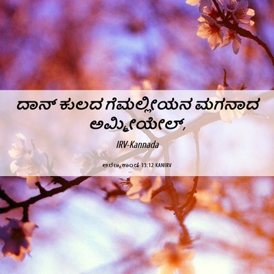 Picture 06 - ಅರಣ್ಯಕಾಂಡ 13:12 KANIRV - ದಾನ್ ಕುಲದ - Bible Verse Picture