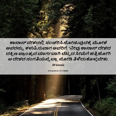 Picture 06 - ಅರಣ್ಯಕಾಂಡ 13:17 KANIRV - ಕಾನಾನ್ ದೇಶದಲ್ಲಿ - Bible Verse Picture