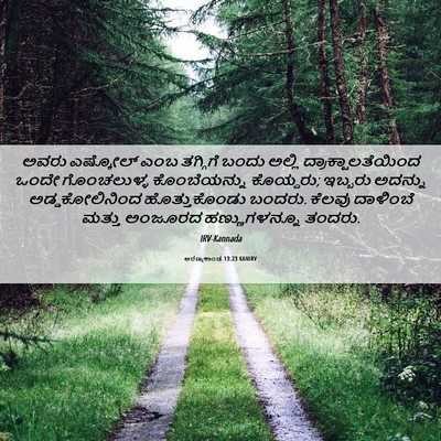 Picture 06 - ಅರಣ್ಯಕಾಂಡ 13:23 KANIRV - ಅವರು ಎಷ್ಕೋಲ್ ಎಂಬ - Bible Verse Picture