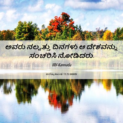 Picture 06 - ಅರಣ್ಯಕಾಂಡ 13:25 KANIRV - ಅವರು ನಲ್ವತ್ತು - Bible Verse Picture