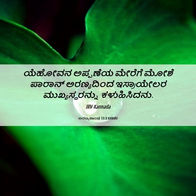 Picture 06 - ಅರಣ್ಯಕಾಂಡ 13:3 KANIRV - ಯೆಹೋವನ ಅಪ್ಪಣೆಯ - Bible Verse Picture