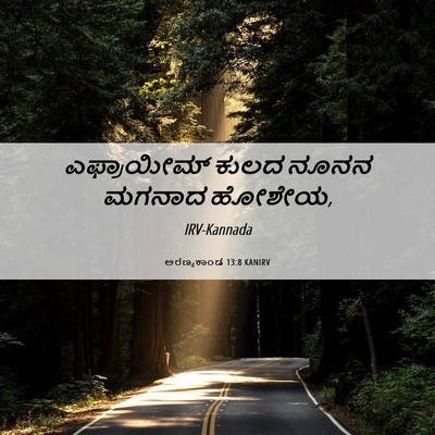 Picture 06 - ಅರಣ್ಯಕಾಂಡ 13:8 KANIRV - ಎಫ್ರಾಯೀಮ್ ಕುಲದ - Bible Verse Picture