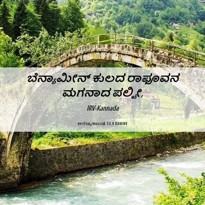 Picture 06 - ಅರಣ್ಯಕಾಂಡ 13:9 KANIRV - ಬೆನ್ಯಾಮೀನ್ ಕುಲದ - Bible Verse Picture