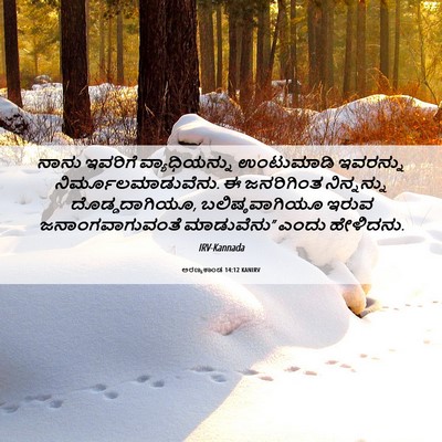 Picture 06 - ಅರಣ್ಯಕಾಂಡ 14:12 KANIRV - ನಾನು ಇವರಿಗೆ - Bible Verse Picture