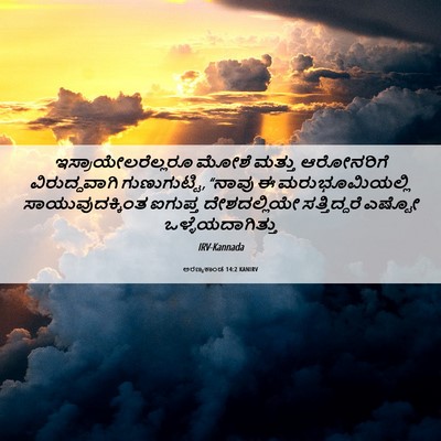 Picture 06 - ಅರಣ್ಯಕಾಂಡ 14:2 KANIRV - ಇಸ್ರಾಯೇಲರೆಲ್ಲರೂ - Bible Verse Picture