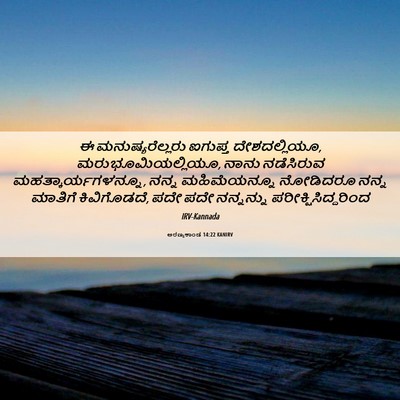 Picture 06 - ಅರಣ್ಯಕಾಂಡ 14:22 KANIRV - ಈ ಮನುಷ್ಯರೆಲ್ಲರು - Bible Verse Picture