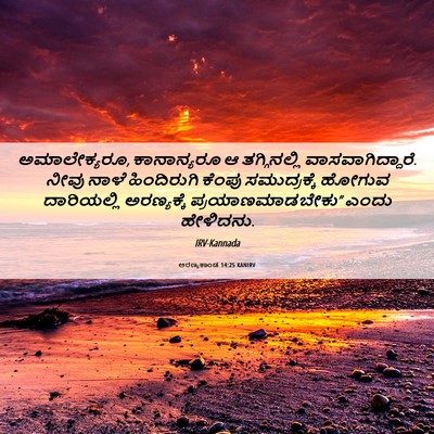 Picture 06 - ಅರಣ್ಯಕಾಂಡ 14:25 KANIRV - ಅಮಾಲೇಕ್ಯರೂ, - Bible Verse Picture
