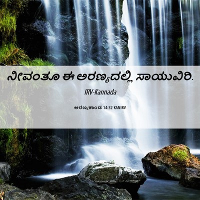 Picture 06 - ಅರಣ್ಯಕಾಂಡ 14:32 KANIRV - ನೀವಂತೂ ಈ - Bible Verse Picture