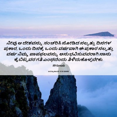 Picture 06 - ಅರಣ್ಯಕಾಂಡ 14:34 KANIRV - ನೀವು ಆ ದೇಶವನ್ನು - Bible Verse Picture