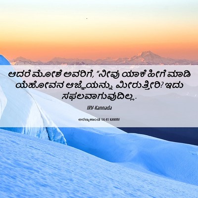 Picture 06 - ಅರಣ್ಯಕಾಂಡ 14:41 KANIRV - ಆದರೆ ಮೋಶೆ ಅವರಿಗೆ, - Bible Verse Picture
