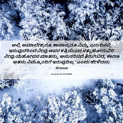 Picture 06 - ಅರಣ್ಯಕಾಂಡ 14:43 KANIRV - ಅಲ್ಲಿ ಅಮಾಲೇಕ್ಯರೂ, - Bible Verse Picture