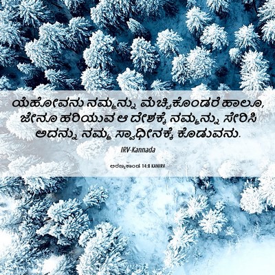 Picture 06 - ಅರಣ್ಯಕಾಂಡ 14:8 KANIRV - ಯೆಹೋವನು ನಮ್ಮನ್ನು - Bible Verse Picture