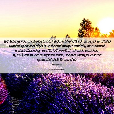 Picture 06 - ಅರಣ್ಯಕಾಂಡ 14:9 KANIRV - ಹೀಗಿರುವುದರಿಂದ - Bible Verse Picture