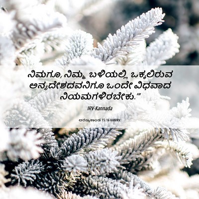Picture 06 - ಅರಣ್ಯಕಾಂಡ 15:16 KANIRV - ನಿಮಗೂ, ನಿಮ್ಮ - Bible Verse Picture