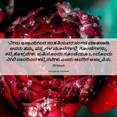 Picture 06 - ಅರಣ್ಯಕಾಂಡ 15:38 KANIRV - “ನೀನು ಇಸ್ರಾಯೇಲರ - Bible Verse Picture