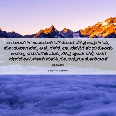Picture 06 - ಅರಣ್ಯಕಾಂಡ 15:39 KANIRV - ಆ ಗೊಂಡೆಗಳ - Bible Verse Picture