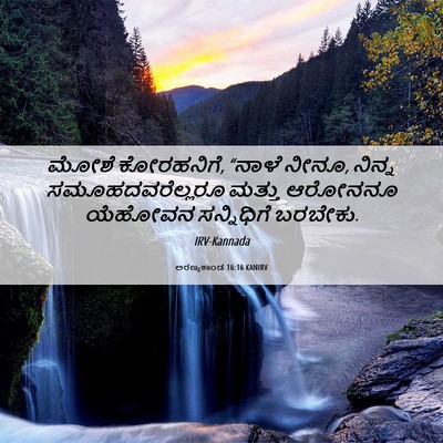 Picture 06 - ಅರಣ್ಯಕಾಂಡ 16:16 KANIRV - ಮೋಶೆ ಕೋರಹನಿಗೆ, - Bible Verse Picture