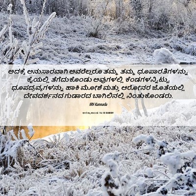 Picture 06 - ಅರಣ್ಯಕಾಂಡ 16:18 KANIRV - ಅದಕ್ಕೆ ಅನುಸಾರವಾಗಿ - Bible Verse Picture