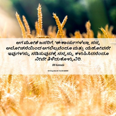 Picture 06 - ಅರಣ್ಯಕಾಂಡ 16:28 KANIRV - ಆಗ ಮೋಶೆ ಜನರಿಗೆ, “ಈ - Bible Verse Picture