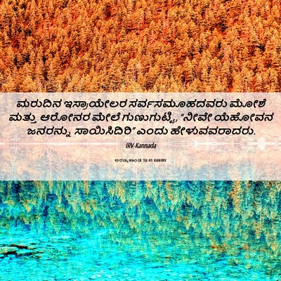 Picture 06 - ಅರಣ್ಯಕಾಂಡ 16:41 KANIRV - ಮರುದಿನ ಇಸ್ರಾಯೇಲರ - Bible Verse Picture