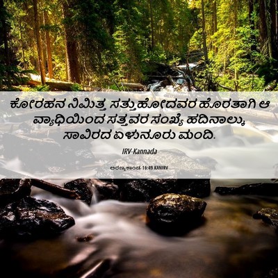 Picture 06 - ಅರಣ್ಯಕಾಂಡ 16:49 KANIRV - ಕೋರಹನ ನಿಮಿತ್ತ - Bible Verse Picture