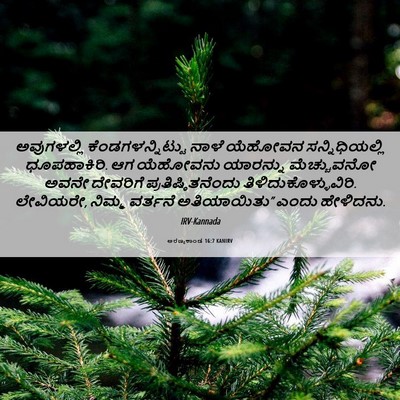 Picture 06 - ಅರಣ್ಯಕಾಂಡ 16:7 KANIRV - ಅವುಗಳಲ್ಲಿ - Bible Verse Picture