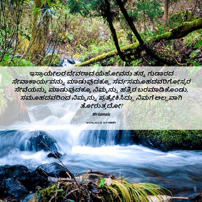Picture 06 - ಅರಣ್ಯಕಾಂಡ 16:9 KANIRV - ಇಸ್ರಾಯೇಲರ ದೇವರಾದ - Bible Verse Picture