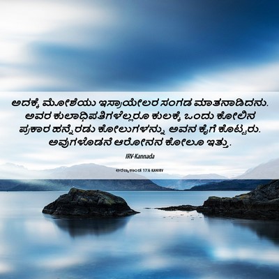 Picture 06 - ಅರಣ್ಯಕಾಂಡ 17:6 KANIRV - ಅದಕ್ಕೆ ಮೋಶೆಯು - Bible Verse Picture