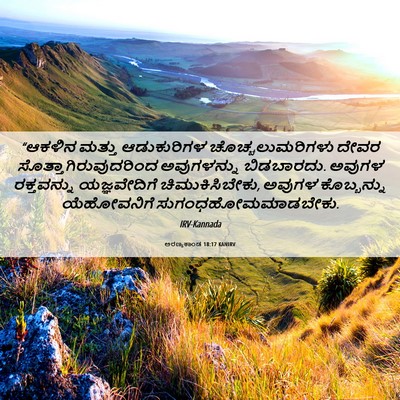 Picture 06 - ಅರಣ್ಯಕಾಂಡ 18:17 KANIRV - “ಆಕಳಿನ ಮತ್ತು - Bible Verse Picture
