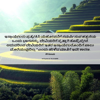Picture 06 - ಅರಣ್ಯಕಾಂಡ 18:24 KANIRV - ಇಸ್ರಾಯೇಲರು - Bible Verse Picture