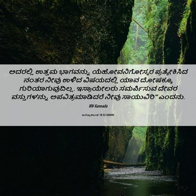 Picture 06 - ಅರಣ್ಯಕಾಂಡ 18:32 KANIRV - ಅದರಲ್ಲಿ ಉತ್ತಮ - Bible Verse Picture