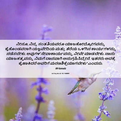 Picture 06 - ಅರಣ್ಯಕಾಂಡ 18:7 KANIRV - ನೀನೂ, ನಿನ್ನ - Bible Verse Picture