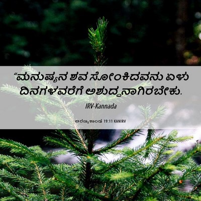 Picture 06 - ಅರಣ್ಯಕಾಂಡ 19:11 KANIRV - “ಮನುಷ್ಯನ ಶವ - Bible Verse Picture