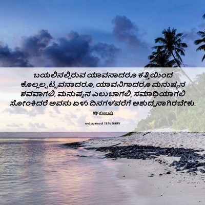 Picture 06 - ಅರಣ್ಯಕಾಂಡ 19:16 KANIRV - ಬಯಲಿನಲ್ಲಿರುವ - Bible Verse Picture