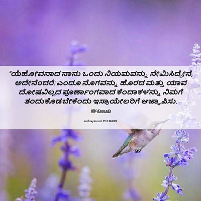 Picture 06 - ಅರಣ್ಯಕಾಂಡ 19:2 KANIRV - “ಯೆಹೋವನಾದ ನಾನು - Bible Verse Picture