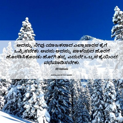 Picture 06 - ಅರಣ್ಯಕಾಂಡ 19:3 KANIRV - ಅದನ್ನು ನೀವು - Bible Verse Picture
