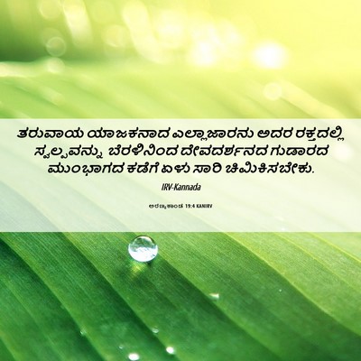 Picture 06 - ಅರಣ್ಯಕಾಂಡ 19:4 KANIRV - ತರುವಾಯ ಯಾಜಕನಾದ - Bible Verse Picture