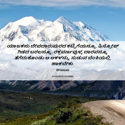 Picture 06 - ಅರಣ್ಯಕಾಂಡ 19:6 KANIRV - ಯಾಜಕನು ದೇವದಾರುಮರದ - Bible Verse Picture