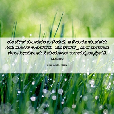 Picture 06 - ಅರಣ್ಯಕಾಂಡ 2:12 KANIRV - ರೂಬೇನ್ ಕುಲದವರ - Bible Verse Picture
