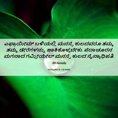 Picture 06 - ಅರಣ್ಯಕಾಂಡ 2:20 KANIRV - ಎಫ್ರಾಯೀಮ್ - Bible Verse Picture