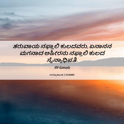 Picture 06 - ಅರಣ್ಯಕಾಂಡ 2:29 KANIRV - ತರುವಾಯ ನಫ್ತಾಲಿ - Bible Verse Picture