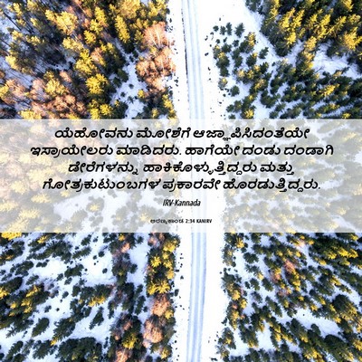 Picture 06 - ಅರಣ್ಯಕಾಂಡ 2:34 KANIRV - ಯೆಹೋವನು ಮೋಶೆಗೆ - Bible Verse Picture