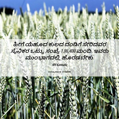 Picture 06 - ಅರಣ್ಯಕಾಂಡ 2:9 KANIRV - ಹೀಗೆ ಯೆಹೂದ ಕುಲದ - Bible Verse Picture