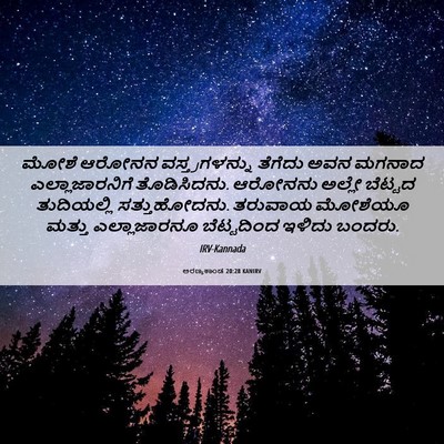 Picture 06 - ಅರಣ್ಯಕಾಂಡ 20:28 KANIRV - ಮೋಶೆ ಆರೋನನ - Bible Verse Picture