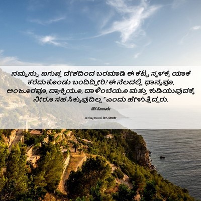 Picture 06 - ಅರಣ್ಯಕಾಂಡ 20:5 KANIRV - ನಮ್ಮನ್ನು ಐಗುಪ್ತ - Bible Verse Picture