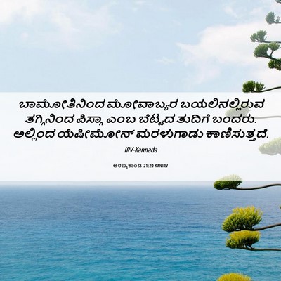 Picture 06 - ಅರಣ್ಯಕಾಂಡ 21:20 KANIRV - ಬಾಮೋತಿನಿಂದ - Bible Verse Picture